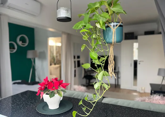 Cosy Studio Floreasca