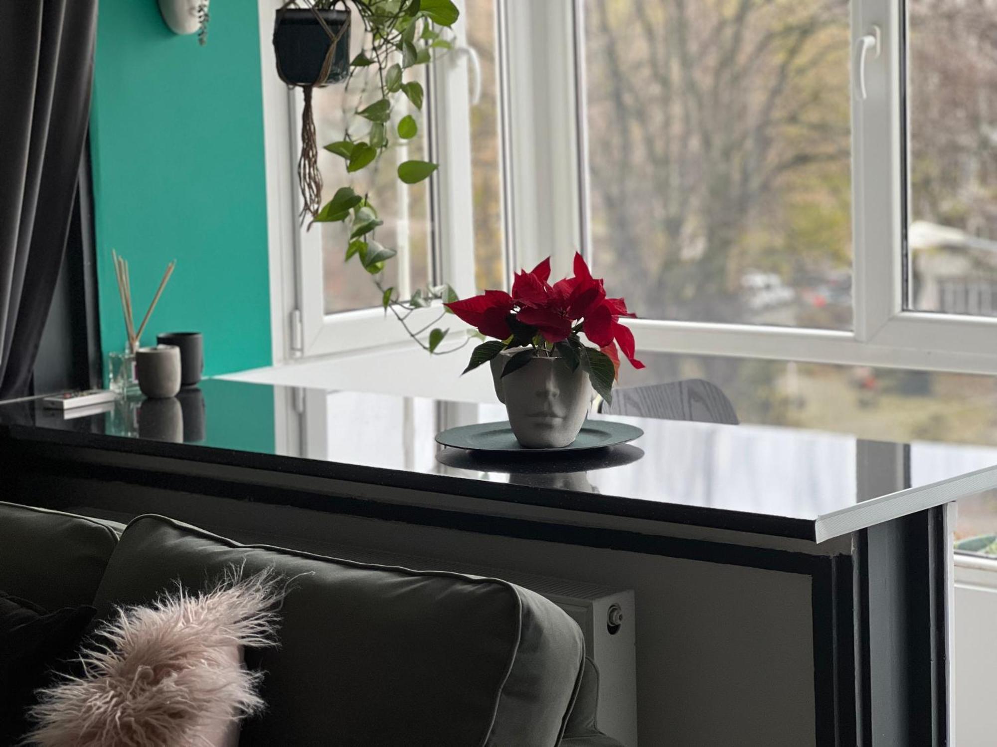 Apartment Cosy Floreasca Bucharest