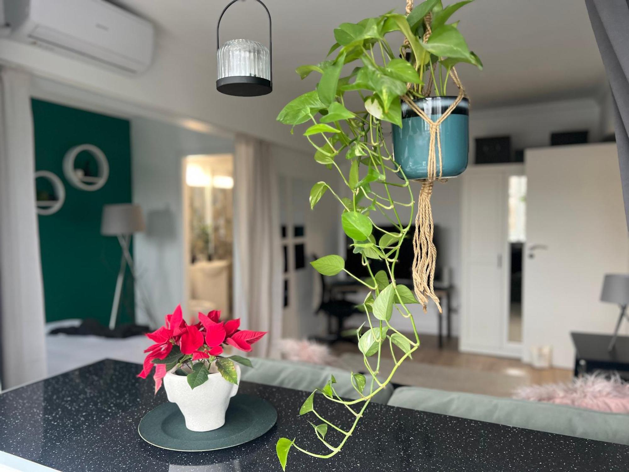 Cosy Floreasca Apartment Bucharest